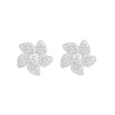 Coral / Earrings Silver