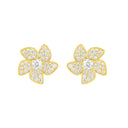Coral / Earrings Gold