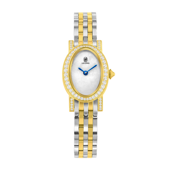 Luxury watch with two-tone metal.