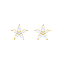 Diamond Starfish / Earrings Gold