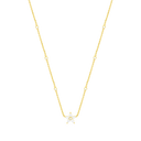 Diamond Starfish / Necklace Gold