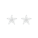 Diamond Starfish / Earrings Silver