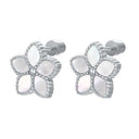 Starfish / Earrings Pearl Silver